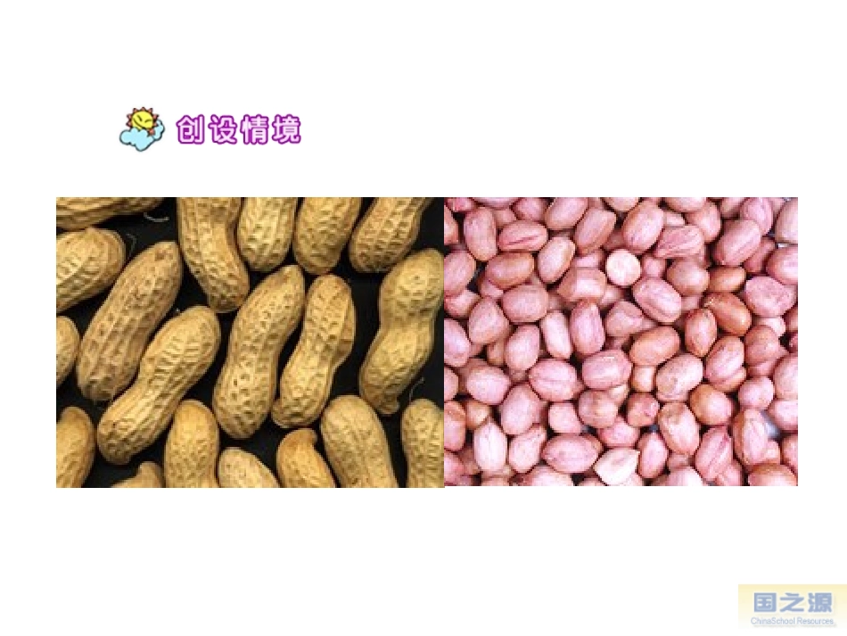 《小松鼠找花生》ppt课件_第3页