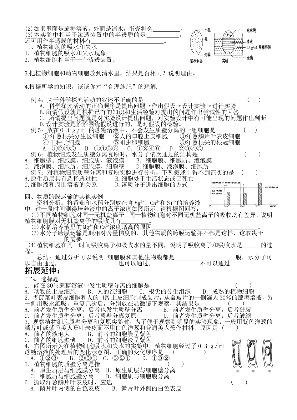 细胞的物质输入和输出1_第2页