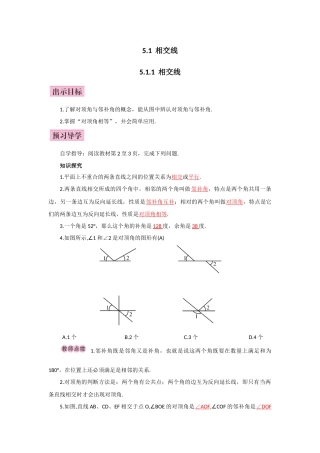 5.1.1相交线-(5)