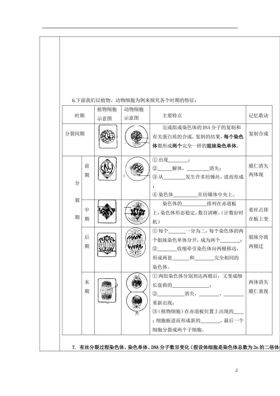 山东省文登市教育教学研究培训中心高考生物一轮复习 第六章 细胞的生命历程学案 新人教版必修1_第2页