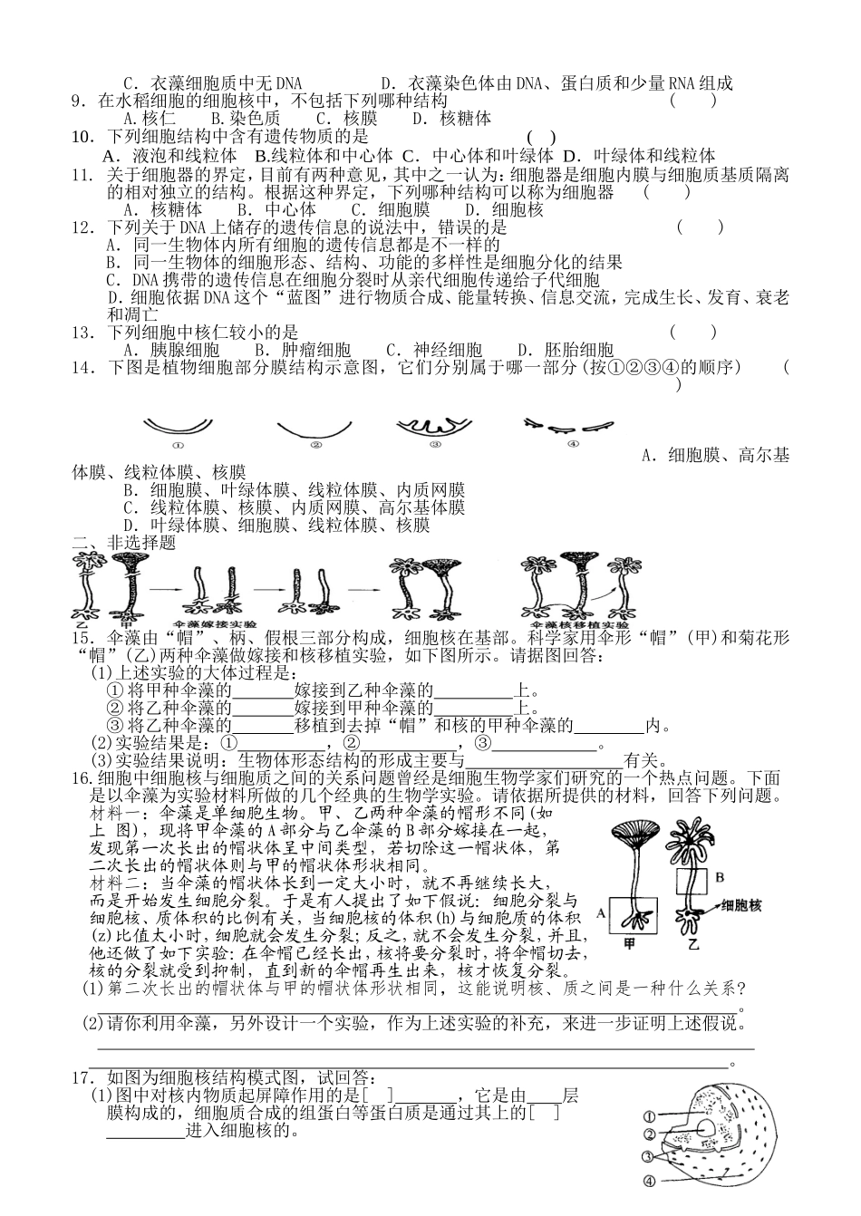 细胞的基本结构3_第3页