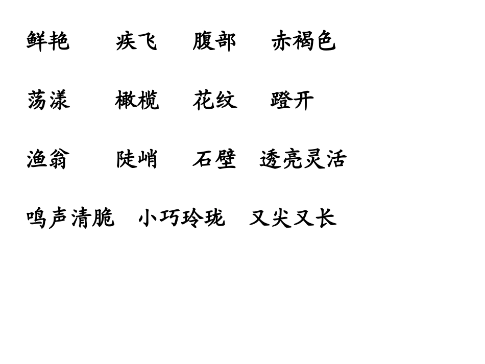 翠鸟第二课时ppt课件_第3页