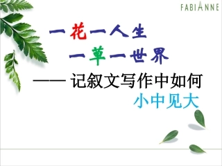 一花一世界-一草一人生