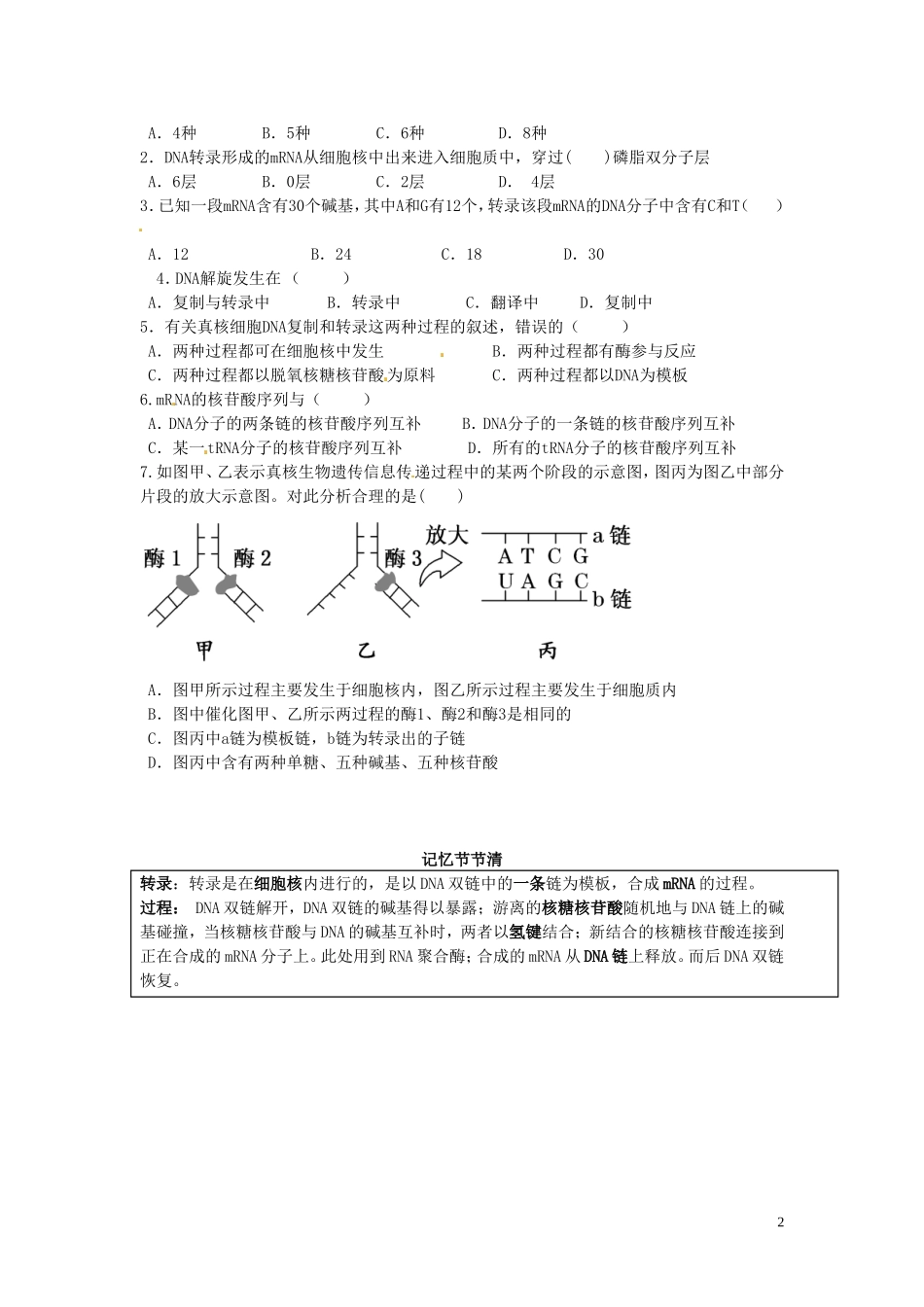 山东省德州市高中生物 基因指导蛋白质的合成（第一课时）学案 新人教版必修2_第2页