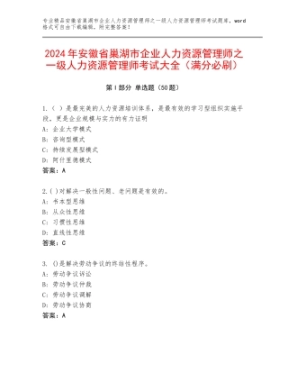 2024年安徽省巢湖市企业人力资源管理师之一级人力资源管理师考试大全（满分必刷）