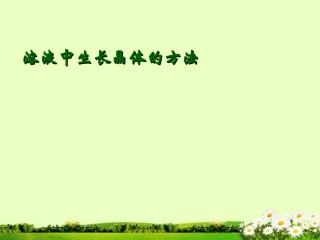 九年级化学下册 7.4 晶体生长课件2 粤教版