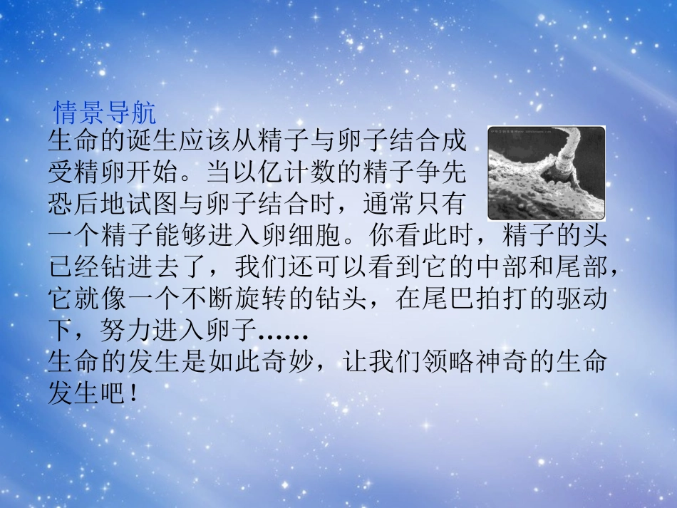 高中生物-3.1《体内受精和早期胚胎发育》课件-新人教版选修3_第3页