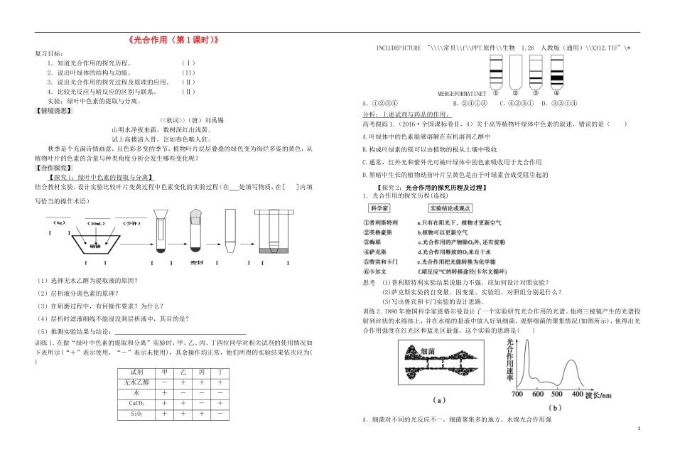 山东省日照市高三生物一轮复习 光合作用（第一课时）学案-人教版高三全册生物学案_第1页