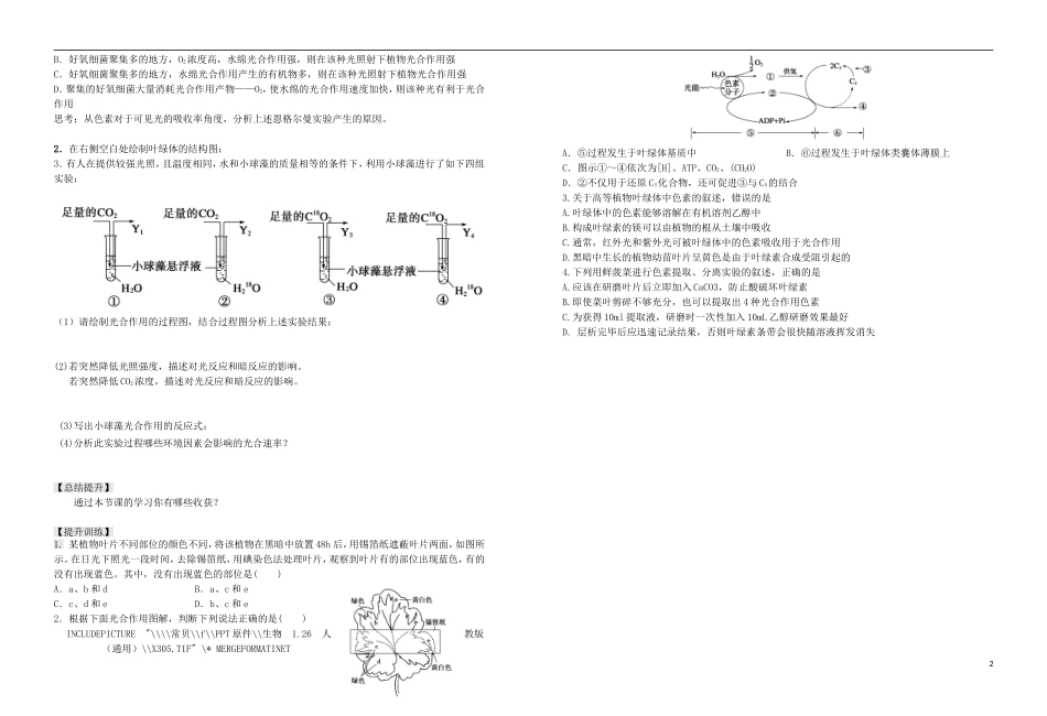 山东省日照市高三生物一轮复习 光合作用（第一课时）学案-人教版高三全册生物学案_第2页