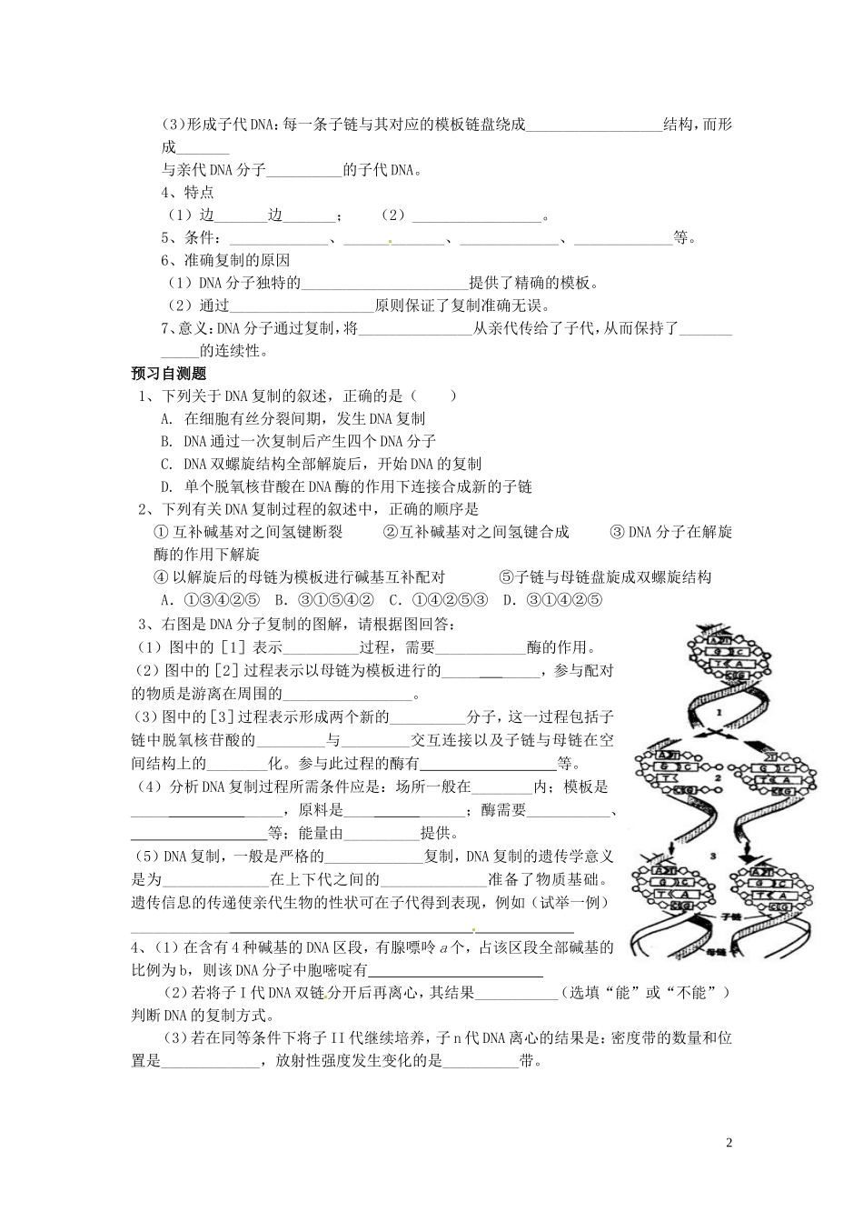 四川省岳池县第一中学高中生物 3.3 DNA的复制学案 新人教版必修2_第2页