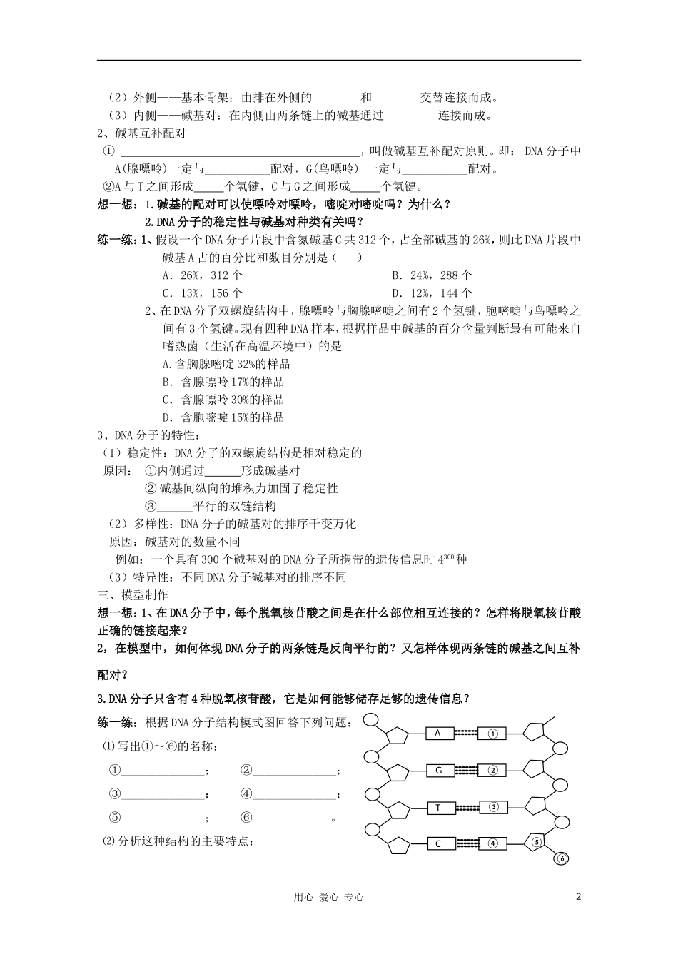 睢县回族高级中学高中生物《遗传与变异》9第二节DNA分子的结构导学案 必修2_第2页