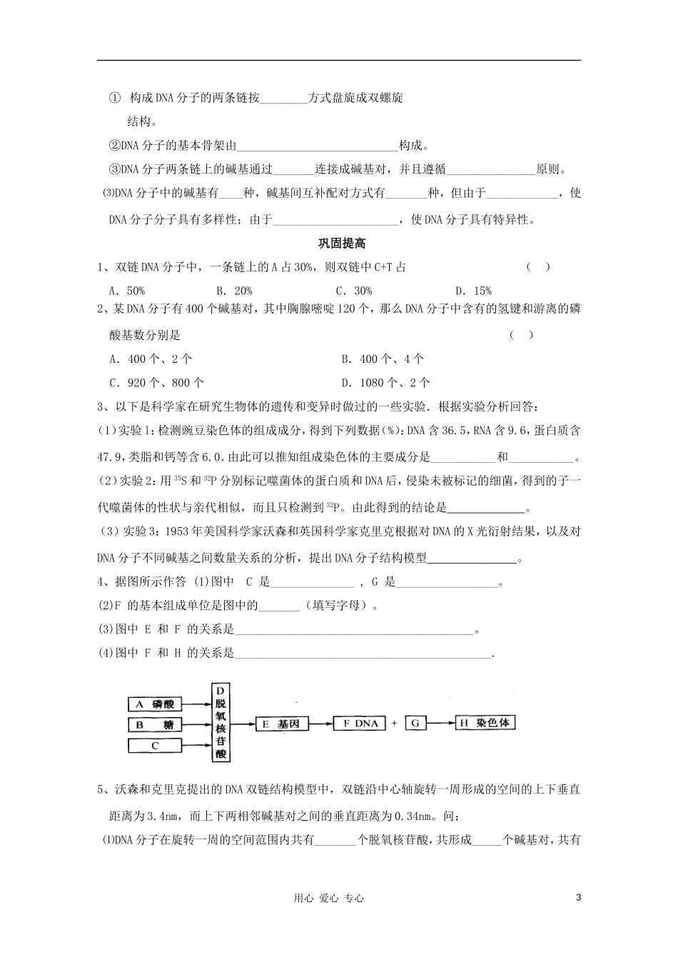 睢县回族高级中学高中生物《遗传与变异》9第二节DNA分子的结构导学案 必修2_第3页