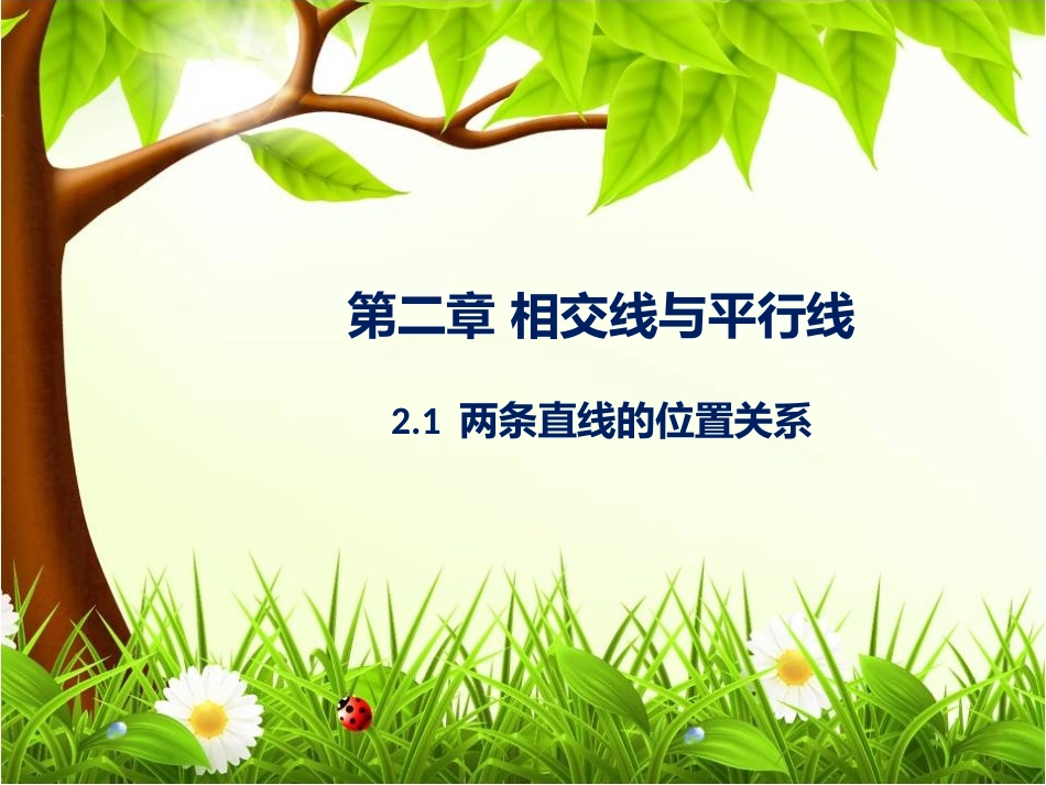 两条直线的位置关系1_第1页
