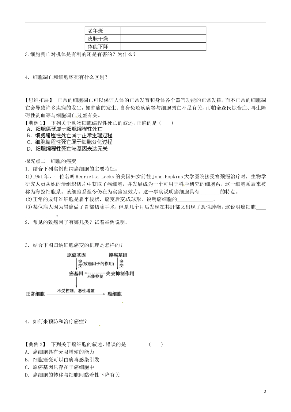山东省平邑县曾子学校高中生物 第6章第3、4节细胞的衰老和凋亡　细胞的癌变学案 新人教版必修1 _第2页
