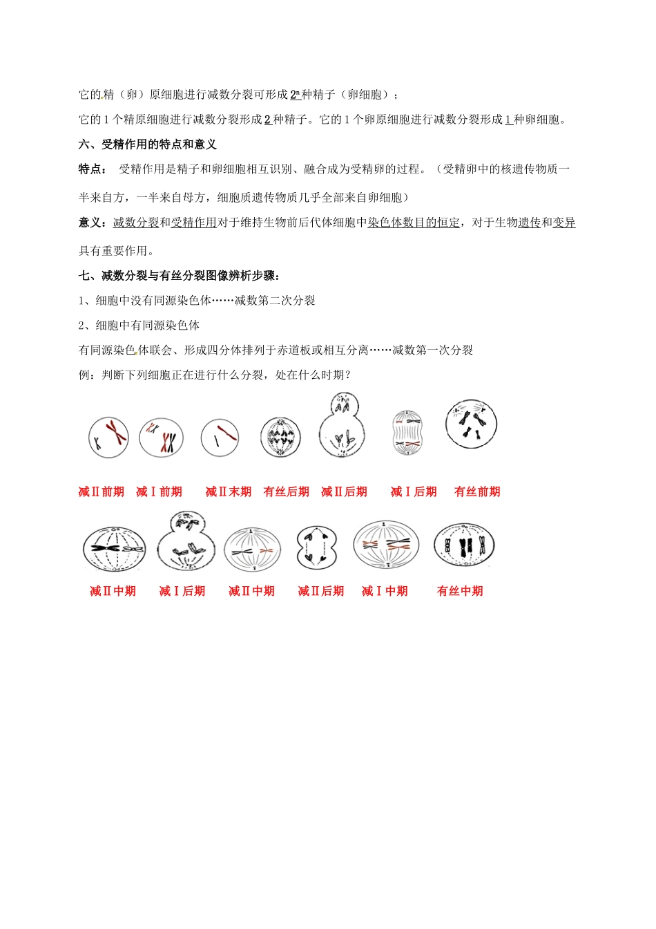 江苏省徐州市高考生物总复习 专题三 细胞的生命历程 第三部分 减数分裂和配子的形成学案-人教版高三全册生物学案_第3页