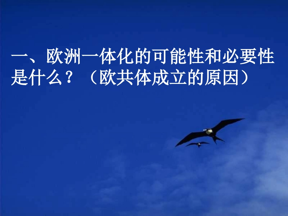 第24课-欧洲的经济区域一体化-(3)_第2页