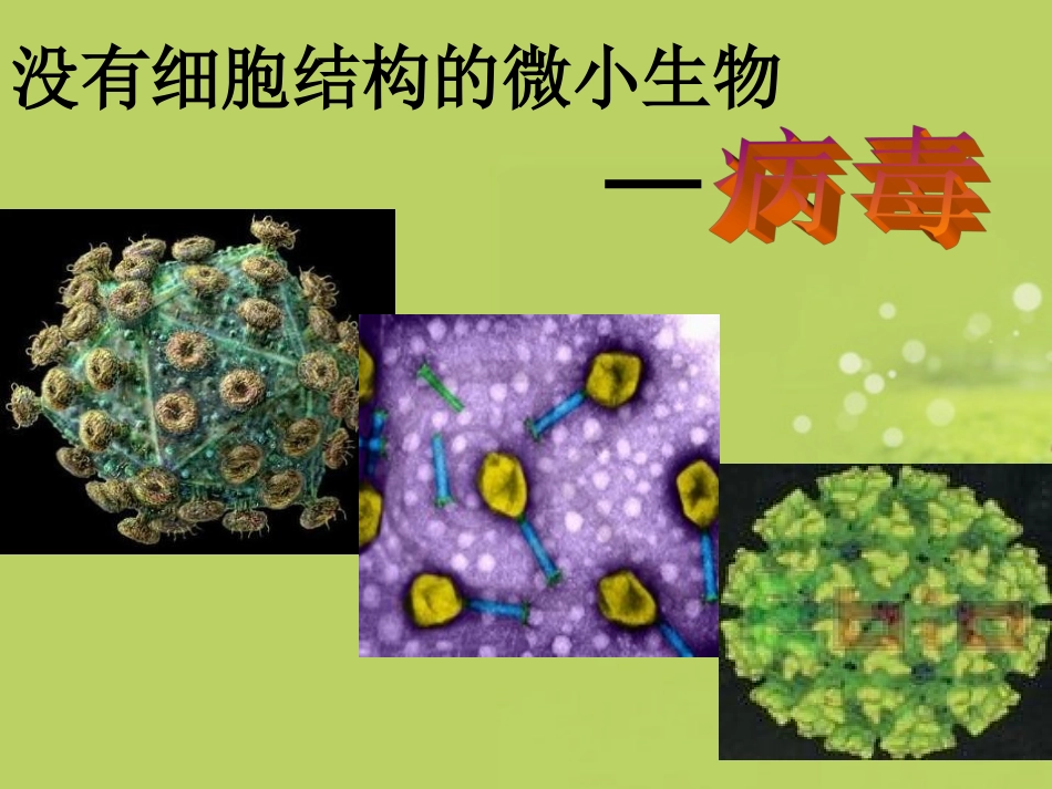 新疆石河子市第十中学七年级生物上册《病毒》课件-新人教版_第1页