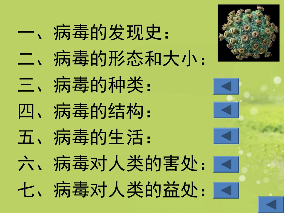 新疆石河子市第十中学七年级生物上册《病毒》课件-新人教版_第2页