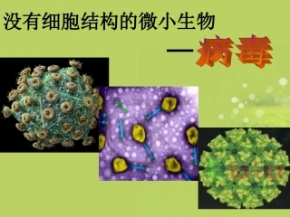 新疆石河子市第十中学七年级生物上册《病毒》课件-新人教版