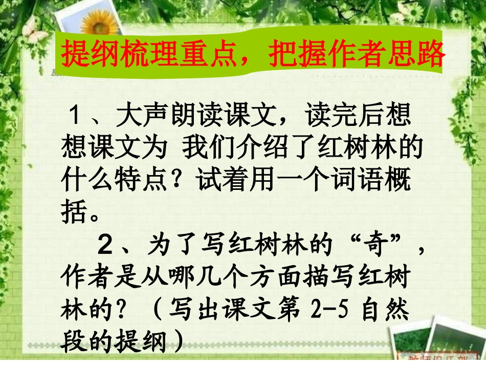 胥红树林课件_第3页