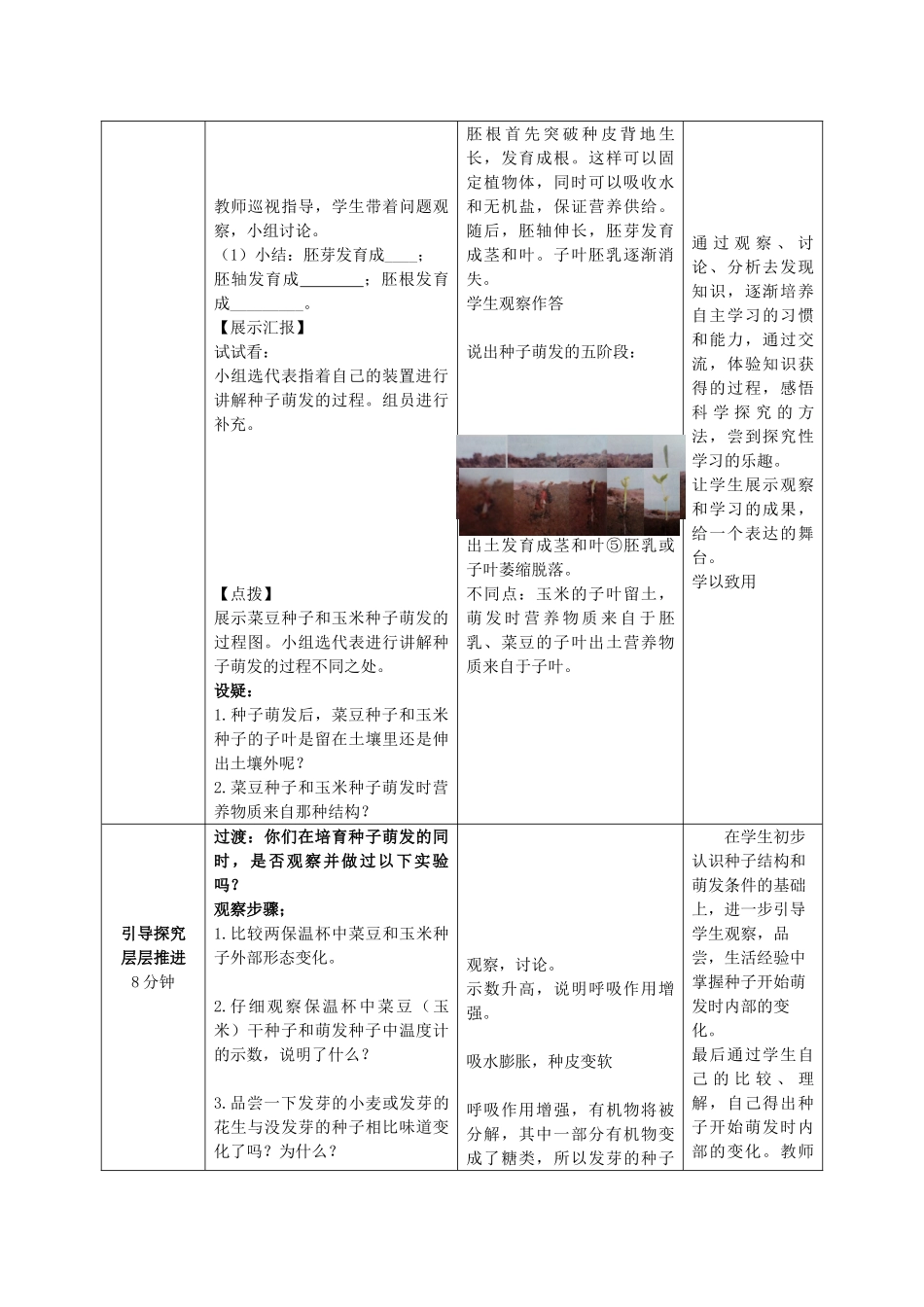 山东省滕州市大坞中学2014-2015八年级生物上册 4.1.4 种子的萌发教案 （新版）济南版_第3页
