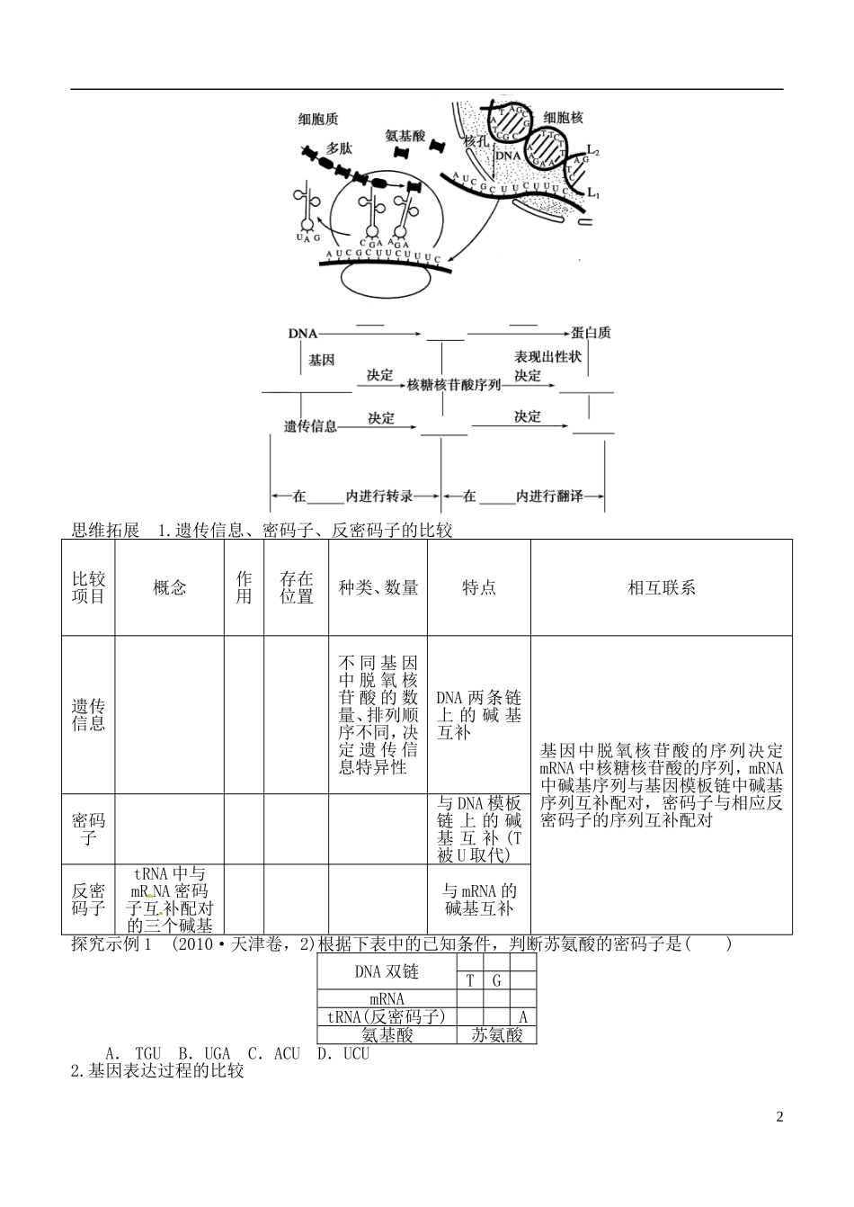 山西省朔州市平鲁区李林中学高中生物《基因的表达》导学案 苏教版必修2_第2页