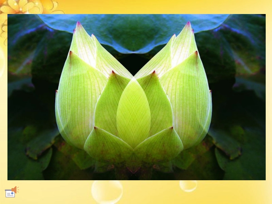 小学数学2011版本小学四年级轴对称图形图片欣赏_第1页