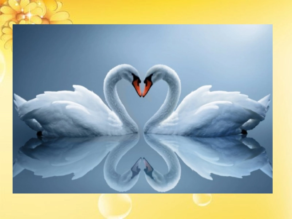 小学数学2011版本小学四年级轴对称图形图片欣赏_第3页