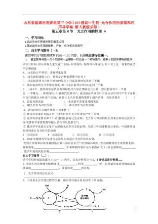 山东省淄博市高青县第三中学2103级高中生物 光合作用的原理和应用导学案 新人教版必修1