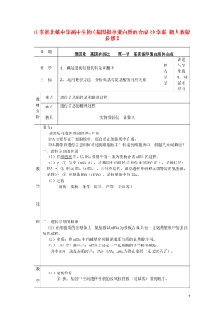 山东省北镇中学高中生物《基因指导蛋白质的合成2》学案 新人教版必修2