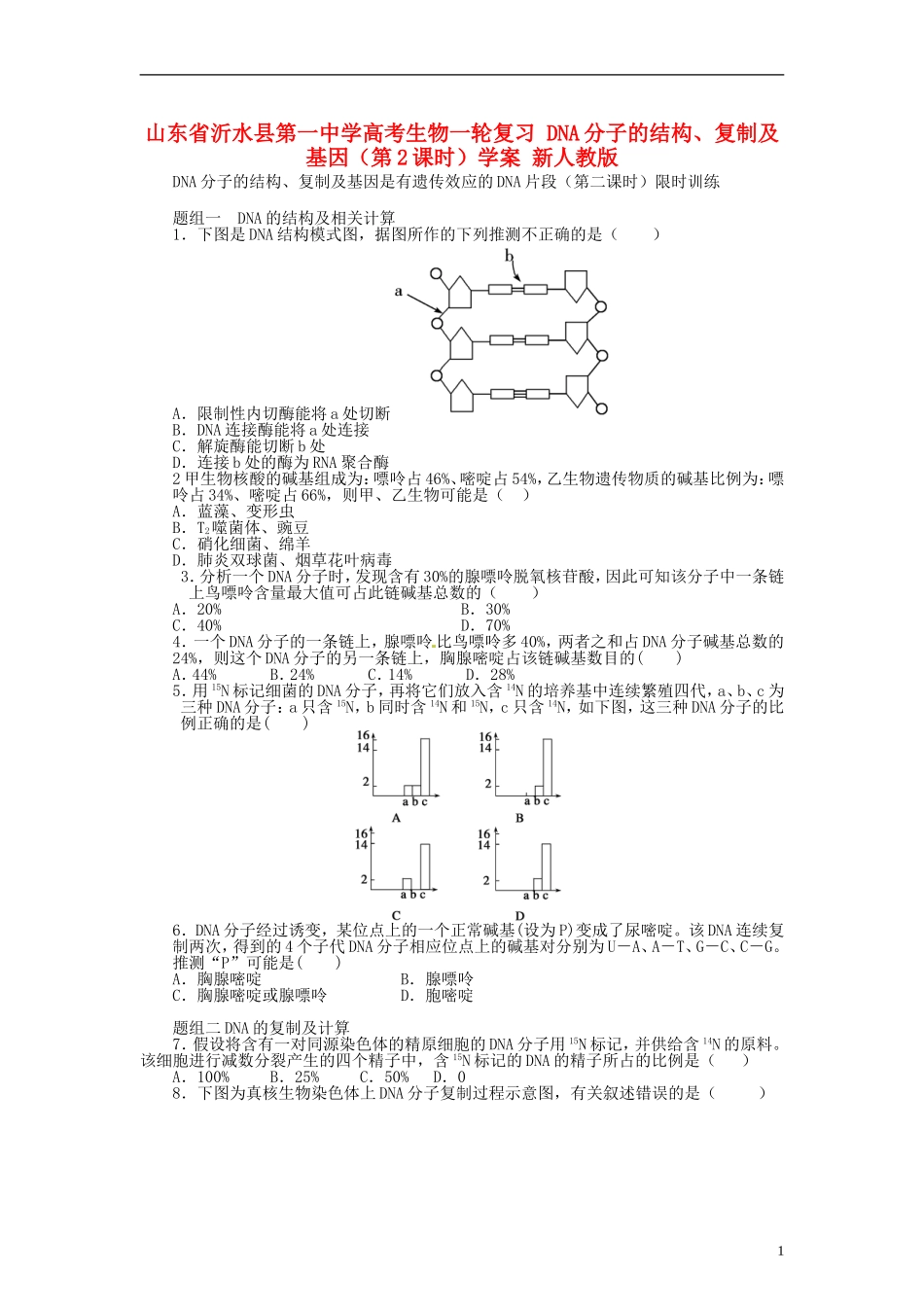 山东省沂水县第一中学高考生物一轮复习 DNA分子的结构、复制及基因（第2课时）学案 新人教版_第1页