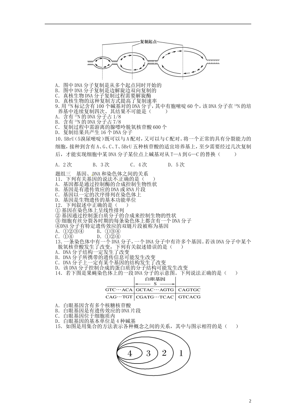 山东省沂水县第一中学高考生物一轮复习 DNA分子的结构、复制及基因（第2课时）学案 新人教版_第2页