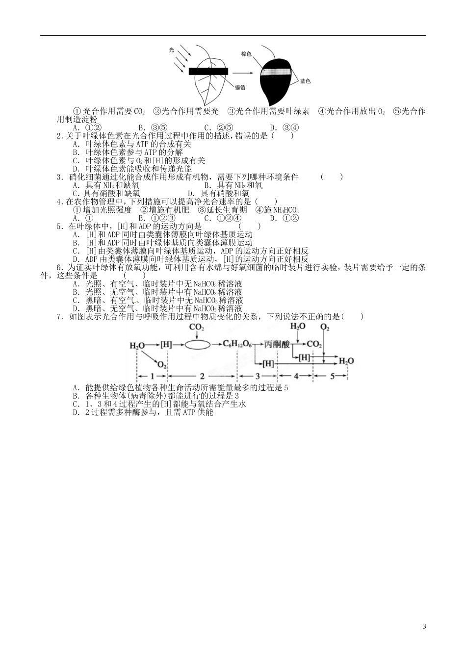山东省平邑县曾子学校高中生物 第6章第7课时 光合作用的原理和应用学案 新人教版必修1 _第3页