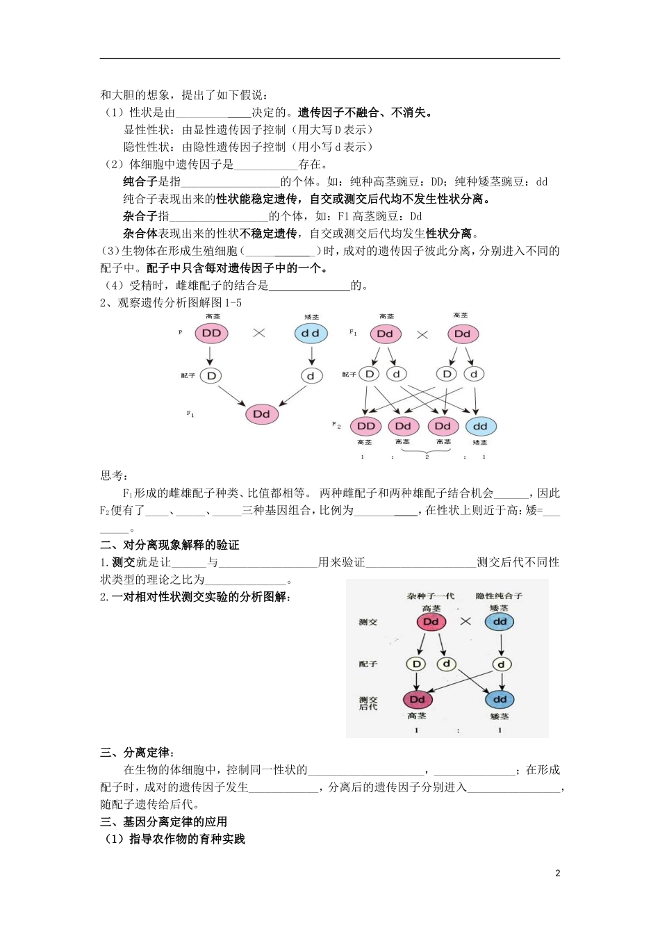 江苏省徐州市王杰中学高一生物 遗传定律复习1学案 新人教版_第2页
