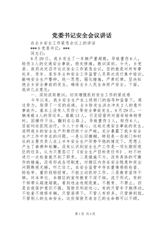 党委书记安全会议讲话发言