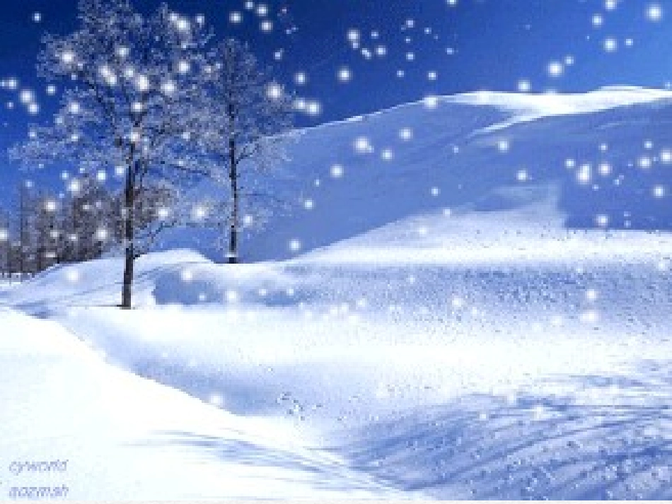 3248《雪地里的小画家》PPT课件_第3页