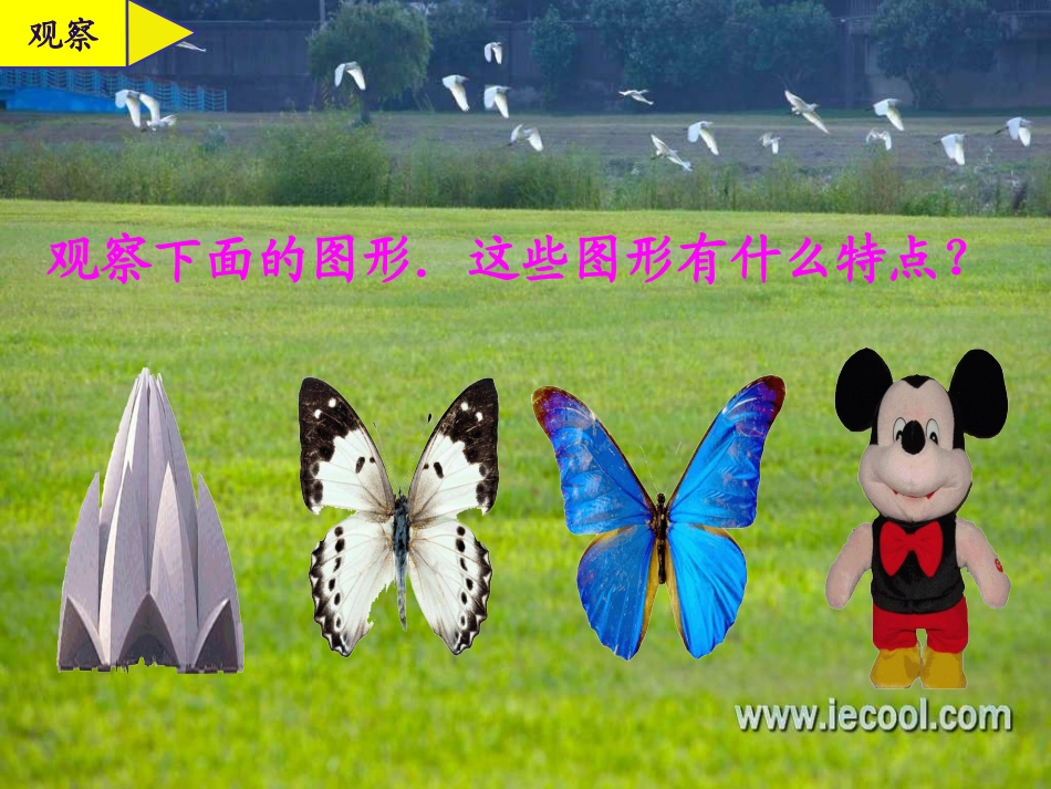《轴对称图形》PPT课件_第2页