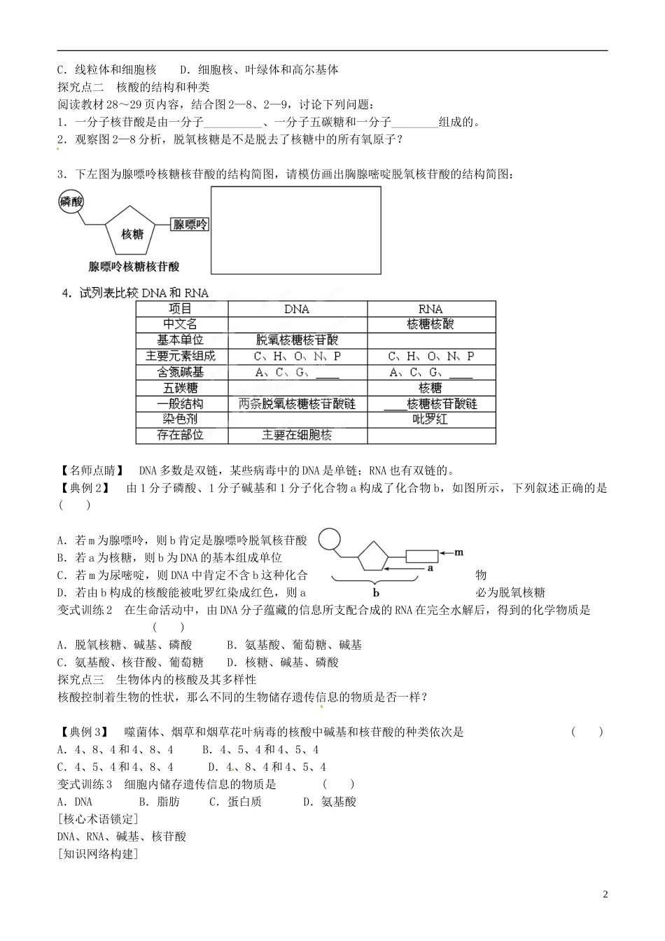 山东省平邑县曾子学校高中生物 第2章第3节 遗传信息的携带者 核酸学案 新人教版必修1 _第2页