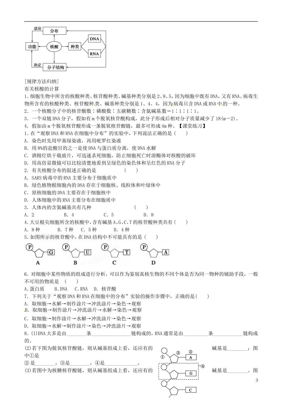 山东省平邑县曾子学校高中生物 第2章第3节 遗传信息的携带者 核酸学案 新人教版必修1 _第3页