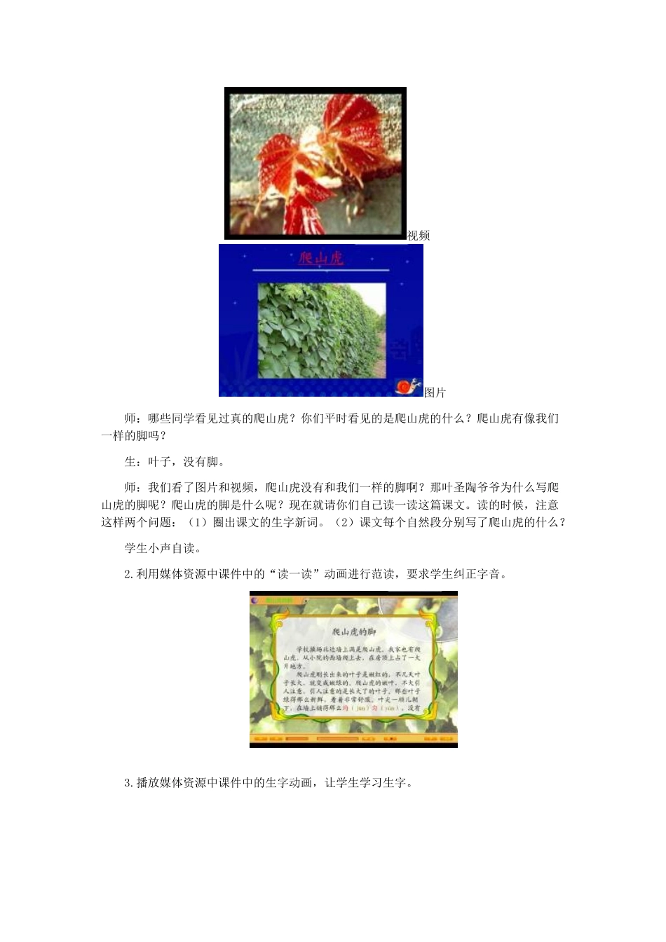 四年级语文上册 爬山虎的脚 4教案 人教版_第3页