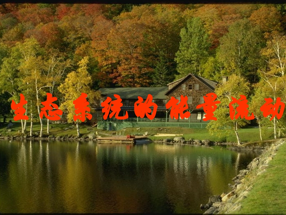 生态系统的能量流动_第3页