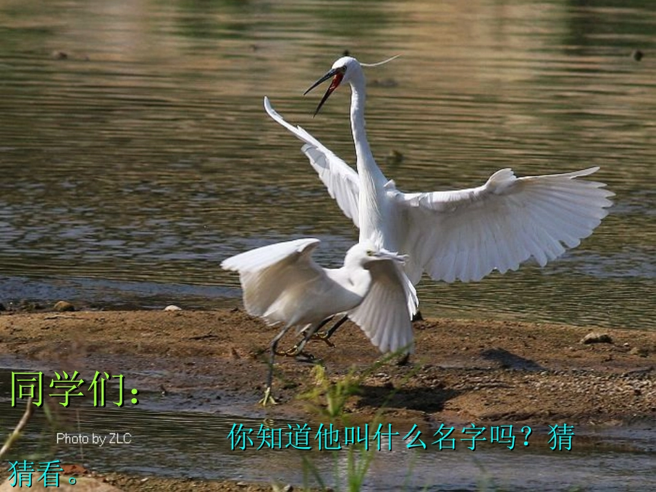 给孩子一个快乐的童年-_第2页