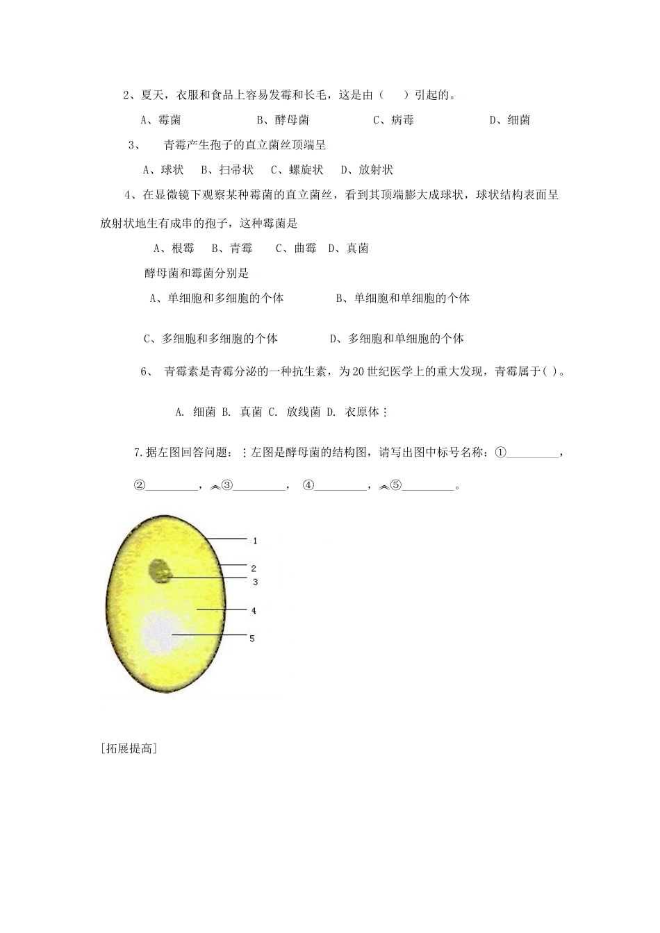 七年级生物第二单元第三章第三节真菌教案济南版_第3页