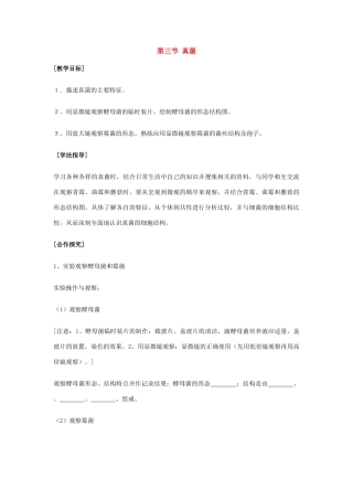 七年级生物第二单元第三章第三节真菌教案济南版