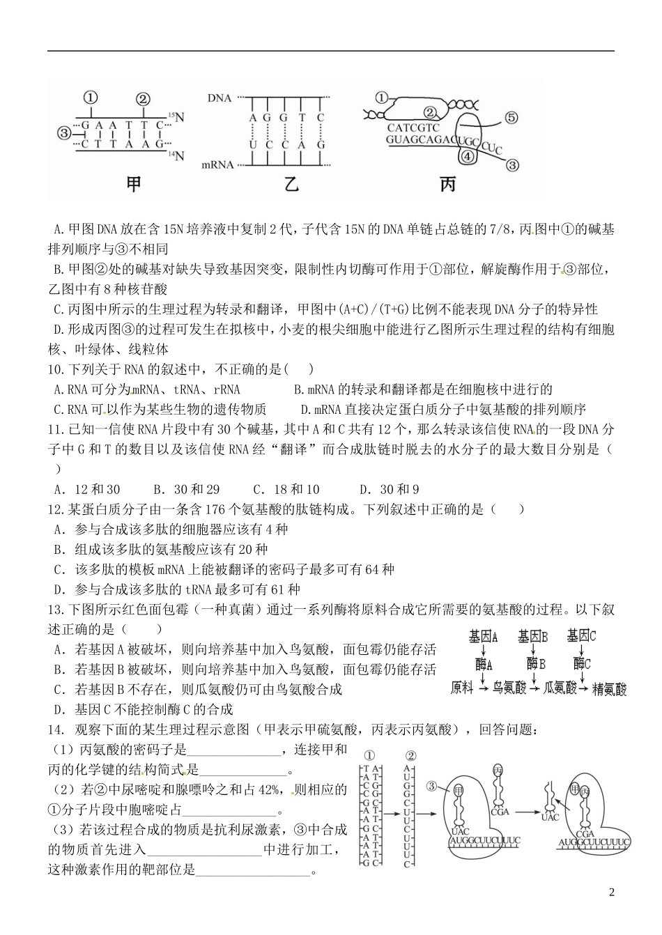 山东省德州市高中生物 基因控制蛋白质合成检测学案 新人教版必修2_第2页