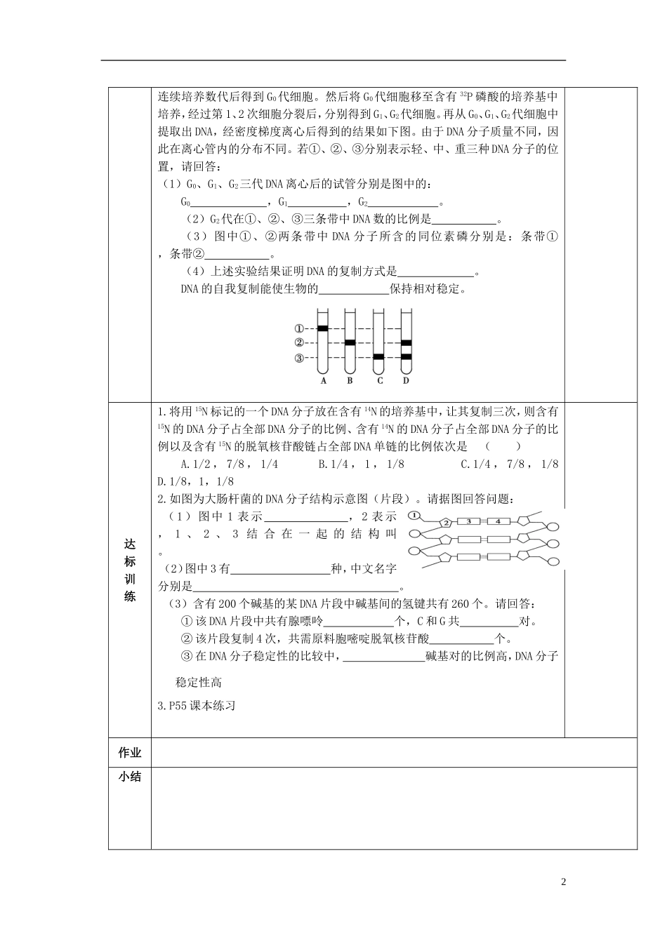 陕西省西安交大阳光中学高中生物 第3章 第3节 DNA分子的复制学案 新人教版必修2_第2页