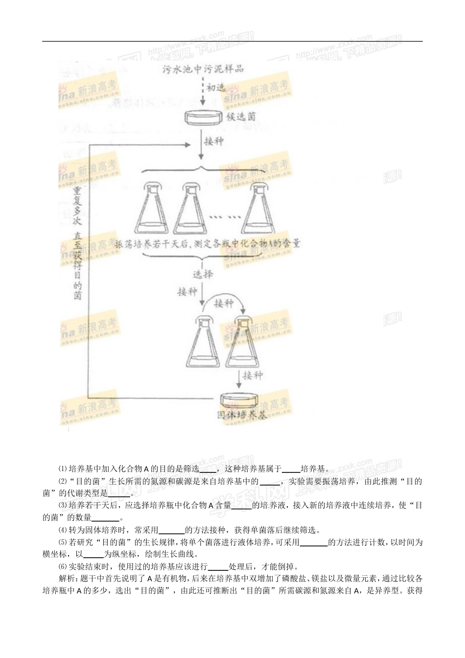 课题3-分解纤维素的微生物的分离_第3页