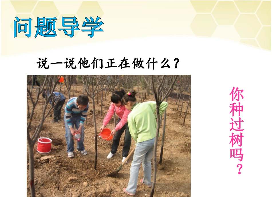 《种树》课件2_第2页