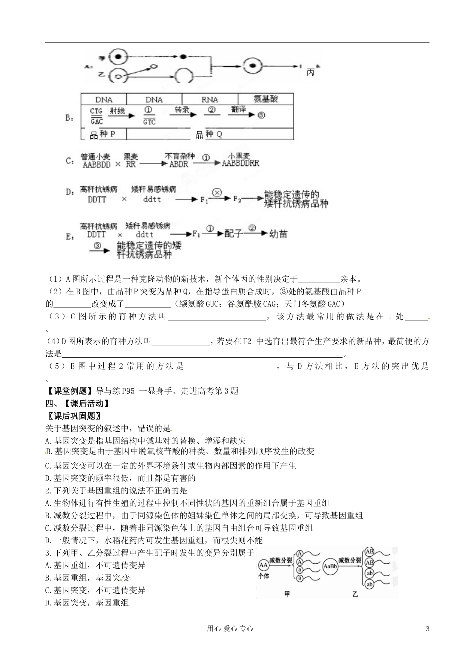 浙江省桐庐县富春高级中学高三生物一轮复习 生物的变异学案_第3页