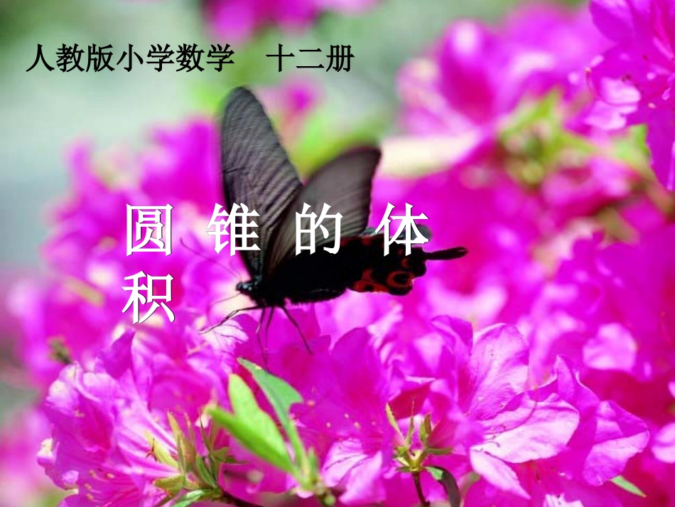 《圆锥的体积》课件(吕夏兵)_第1页